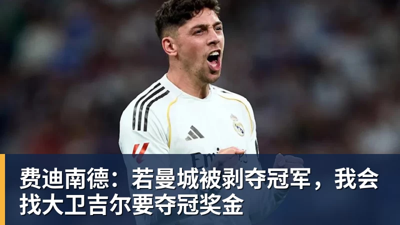 费迪南德:若曼城被剥夺冠军,我会找大卫吉尔要夺冠奖金
